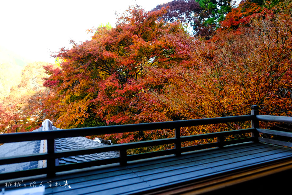 京都賞楓》八瀬瑠璃光院│一年只開放兩次，楓葉美景令人驚艷