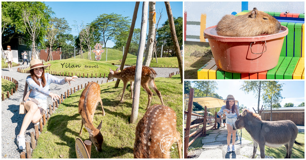 宜蘭農場懶人包|親子最愛的小動物休閒景點.體驗餵養梅花鹿、水豚、羊駝等 快收進口袋排名中！