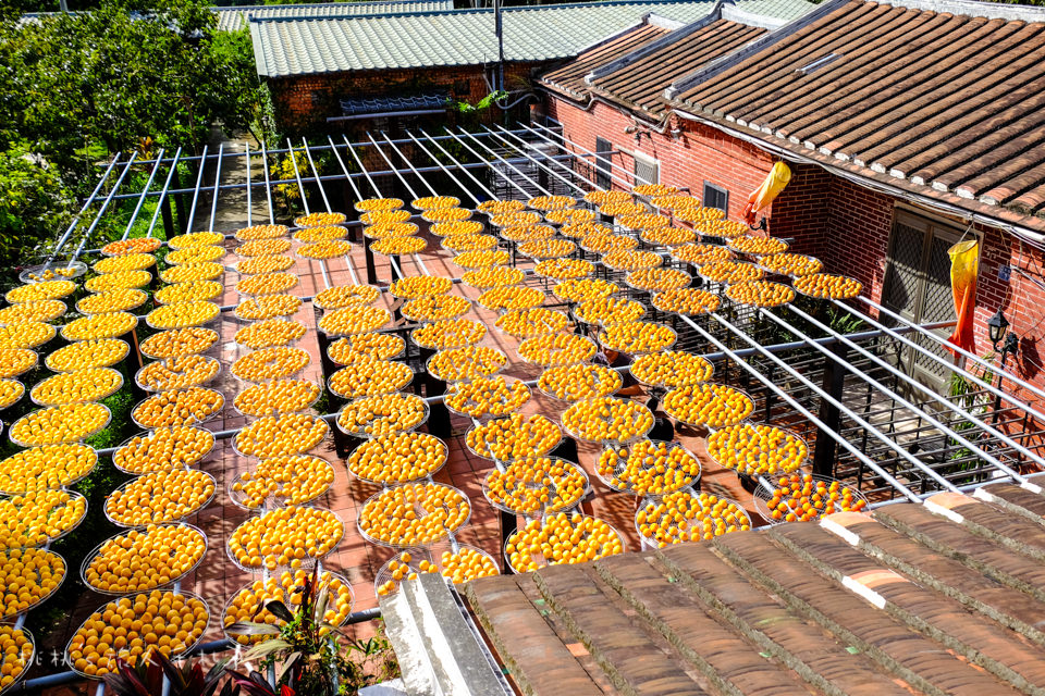 觀光工場推薦》新竹新埔金漢柿餅教育農園│曬柿餅季節又到了，快來吃柿子吧！