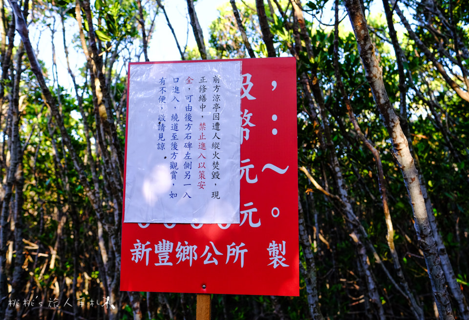 IG打卡祕境》新竹景點 新豐紅樹林生態保護區│不要再釣螃蟹了！你知道打卡絕景怎麼拍嗎?