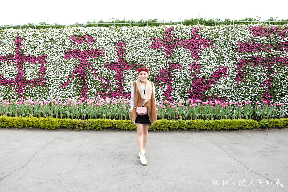 中社觀光花市》鬱金香花海 台中花毯節附近景點這裡最強