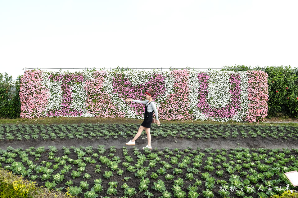 中社觀光花市》鬱金香花海 台中花毯節附近景點這裡最強