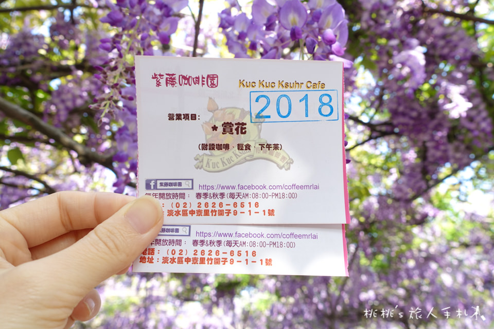 2018淡水紫藤咖啡園二店 水源園區│花況滿開 賞花正是時候！