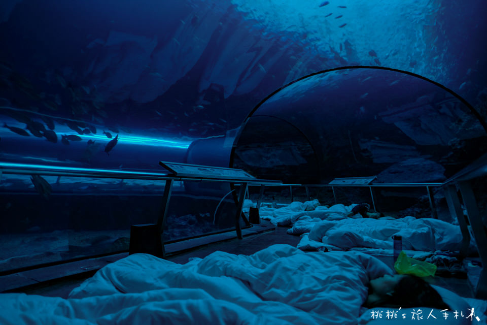 夜宿海生館》來去海底隧道住一晚│不一樣的墾丁兩天一夜行程！