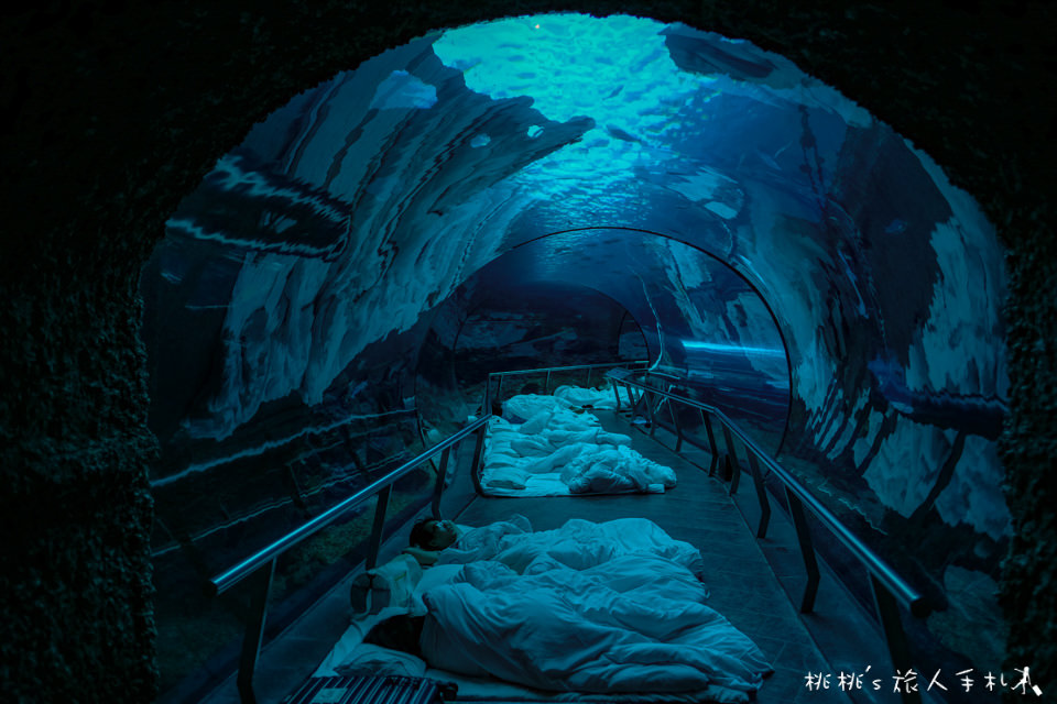 夜宿海生館》來去海底隧道住一晚│不一樣的墾丁兩天一夜行程！