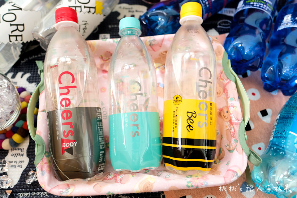 超商瓶裝氣泡水，5大品牌 13款不同口味│全方位評比推薦不踩雷！