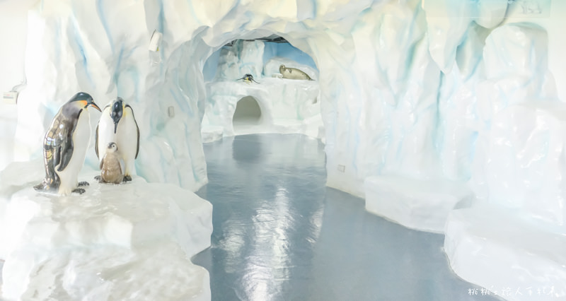 IG打卡景點》海生館隱藏版景點│極地探險冰山溜滑梯 在這裡！