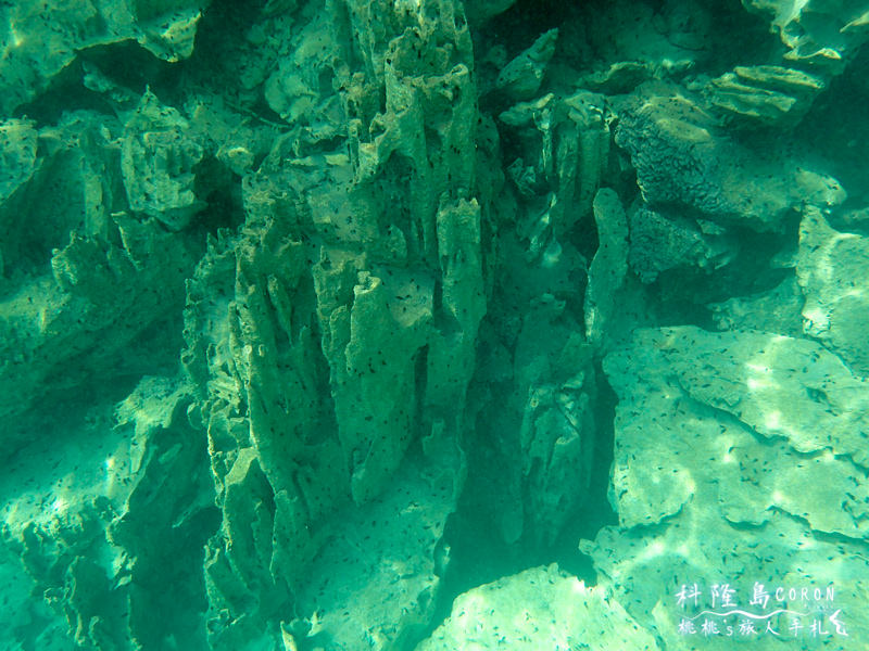 科隆島景點》不能錯過的七大絕景秘境與潛水天堂推薦
