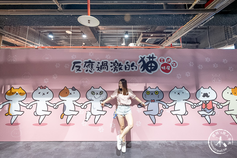 台北展覽》反應過激的貓-盛夏3周年特展│熱血激動無極限！