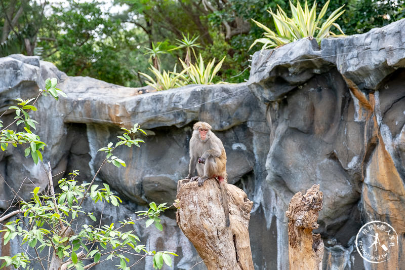 新竹景點》新竹市立動物園│大象門、噴水池 穿越80年的思念