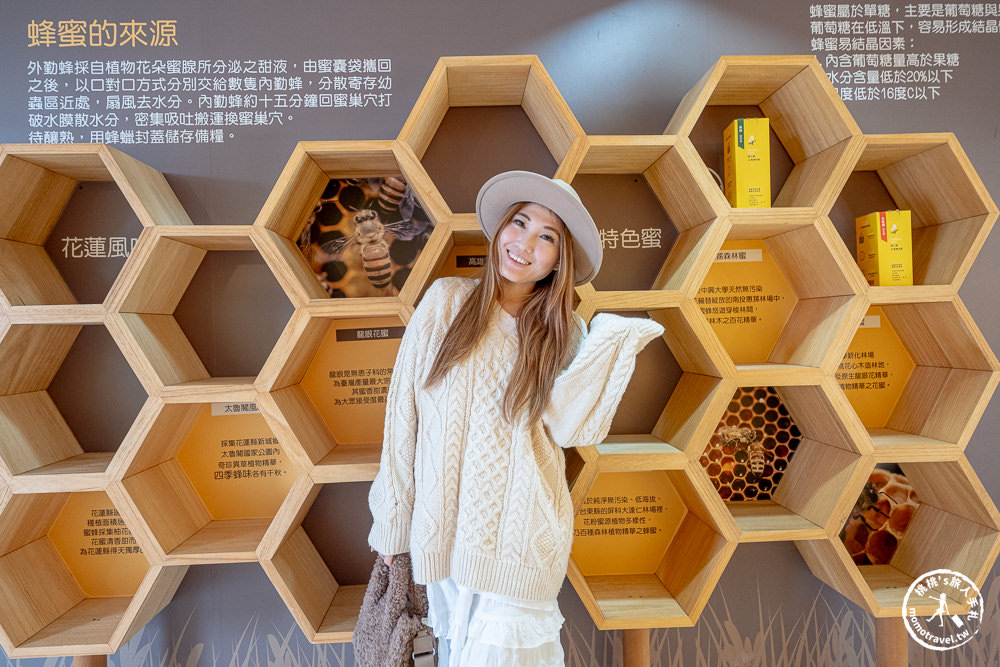 花蓮鳳林景點|蜂之鄉蜜蜂生態教育館(免門票)|博物館.蜂蜜蛋糕.有吃又有玩!