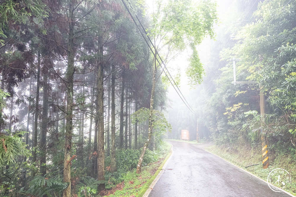 新竹五峰住宿|蟬說：霧繞|免裝備豪華露營－體驗白蘭部落的霧隱魅力