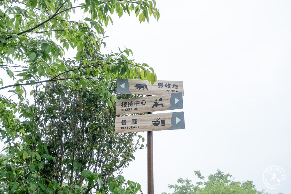 新竹五峰住宿|蟬說：霧繞|免裝備豪華露營－體驗白蘭部落的霧隱魅力