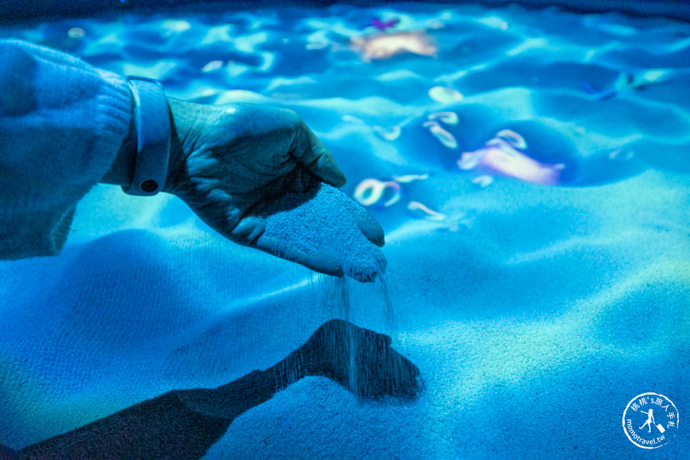 台北展覽|NAKED OCEAN IN TAIPEI 光之影海洋展|沉浸式海底探險 一窺神秘深海世界(展期.門票.周邊商品)