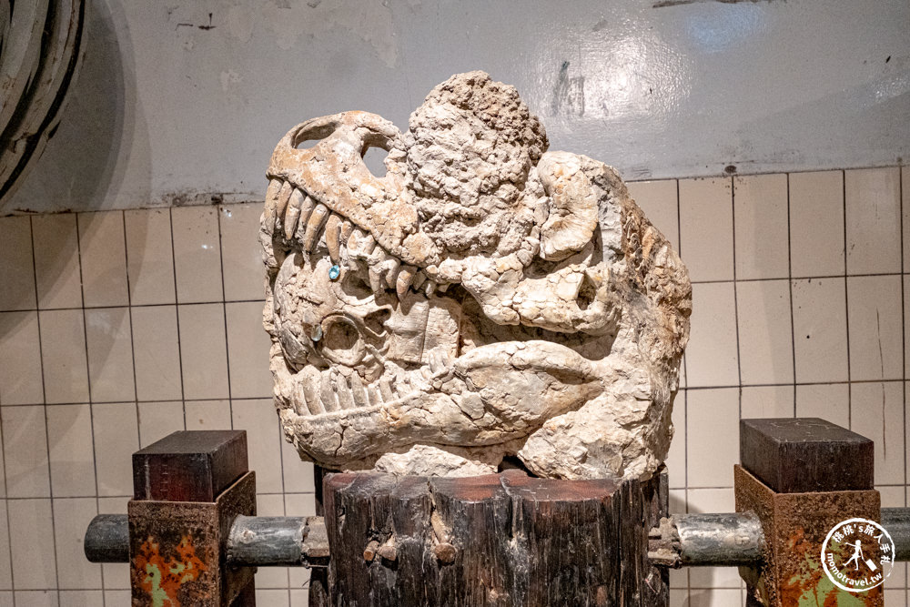 宜蘭蘇澳景點|Robert Y瘋狂夢想藝術園區X廢墟暴龍館|巨大恐龍化石真品近距離一探究竟！