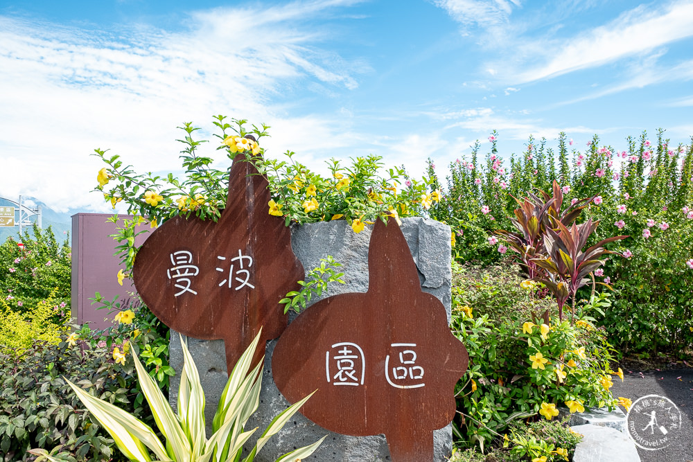 花蓮市景點|曼波海洋生態休閒園區(免門票)|近七星潭四八高地戰備坑道導覽