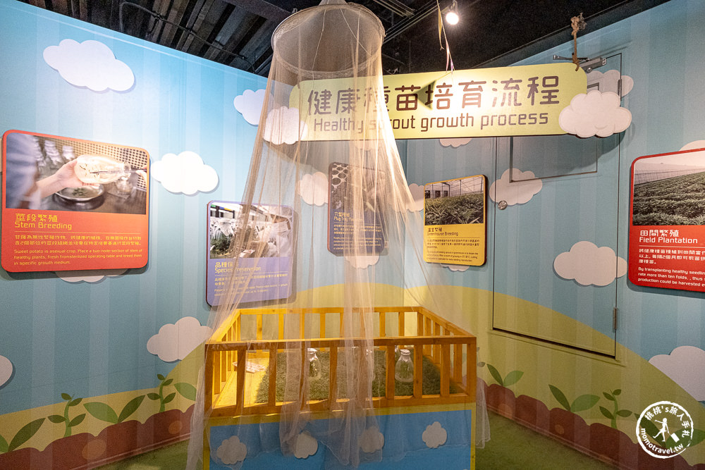 台南新化景點|瓜瓜園地瓜生態故事館(免門票)|全台唯一地瓜主題觀光工廠