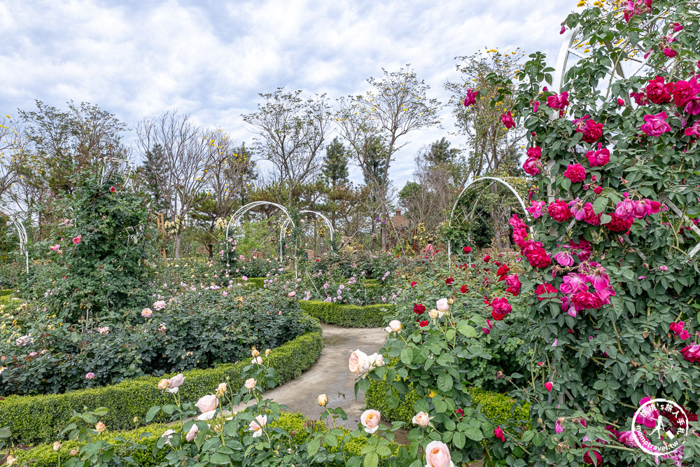 台南後壁景點|雅聞湖濱療癒森林－南台灣最大歐風玫瑰花園免費參觀