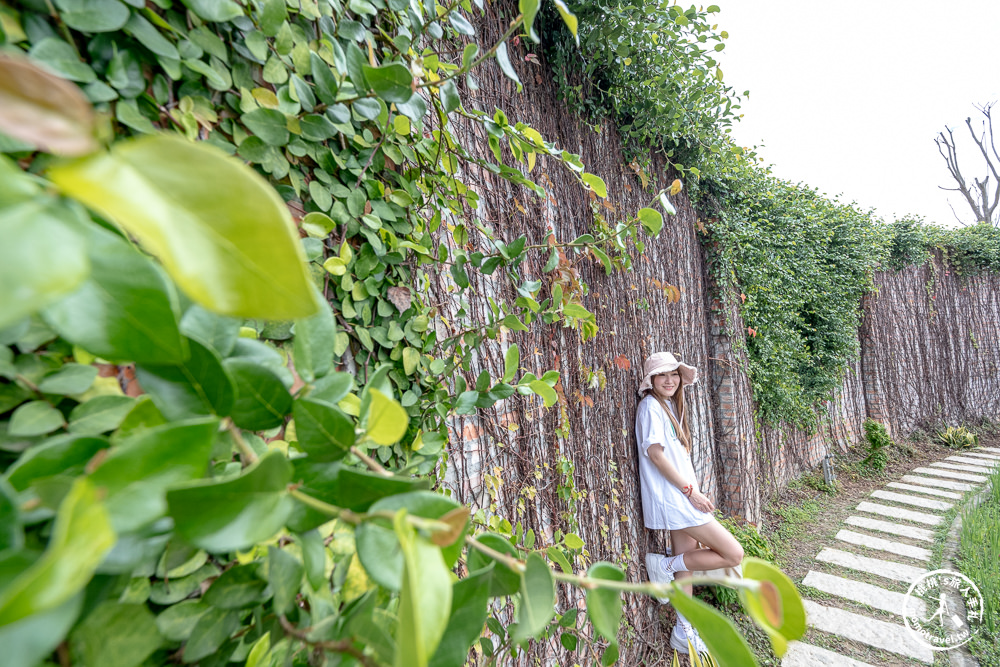 台南後壁景點|雅聞湖濱療癒森林－南台灣最大歐風玫瑰花園免費參觀